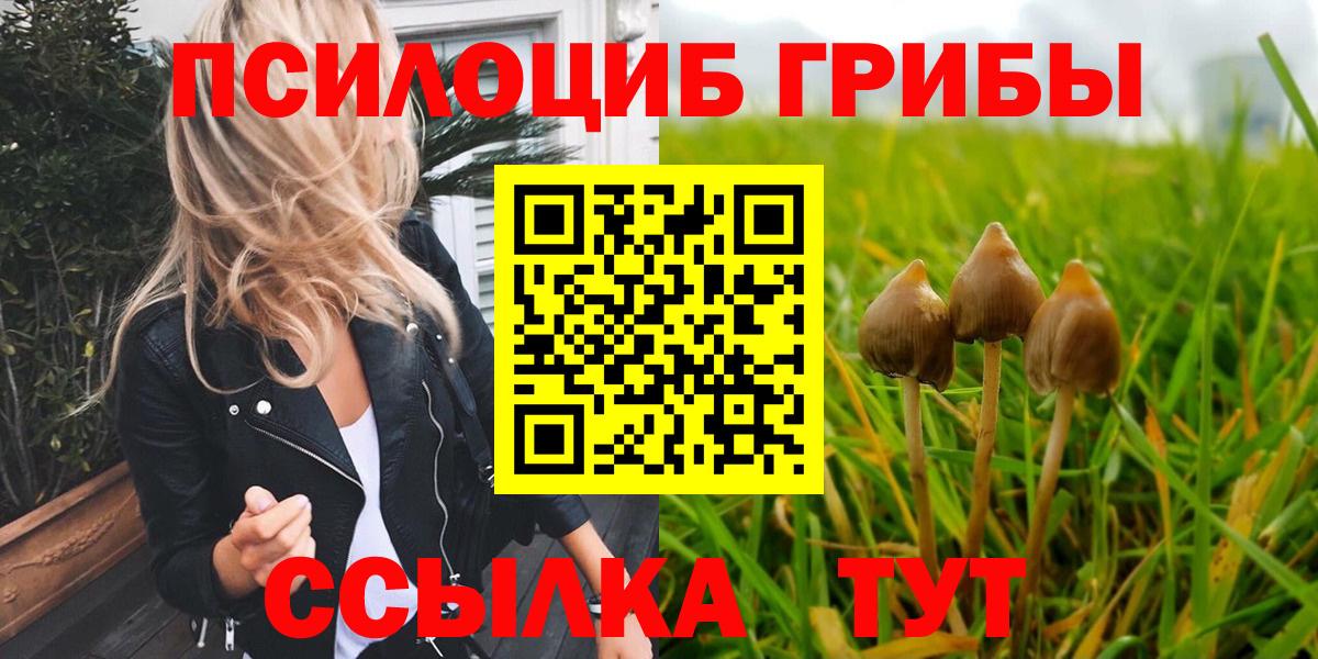 Галлюциногенные грибы Cubensis  Вход с VPN  Мурино 